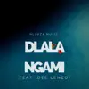 Hlukza music - Dlala Ngami - Single